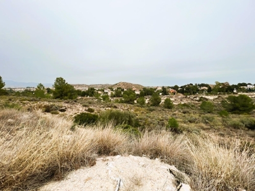 Molina De Segura Vega Media Del Segura terreno foto 6311874