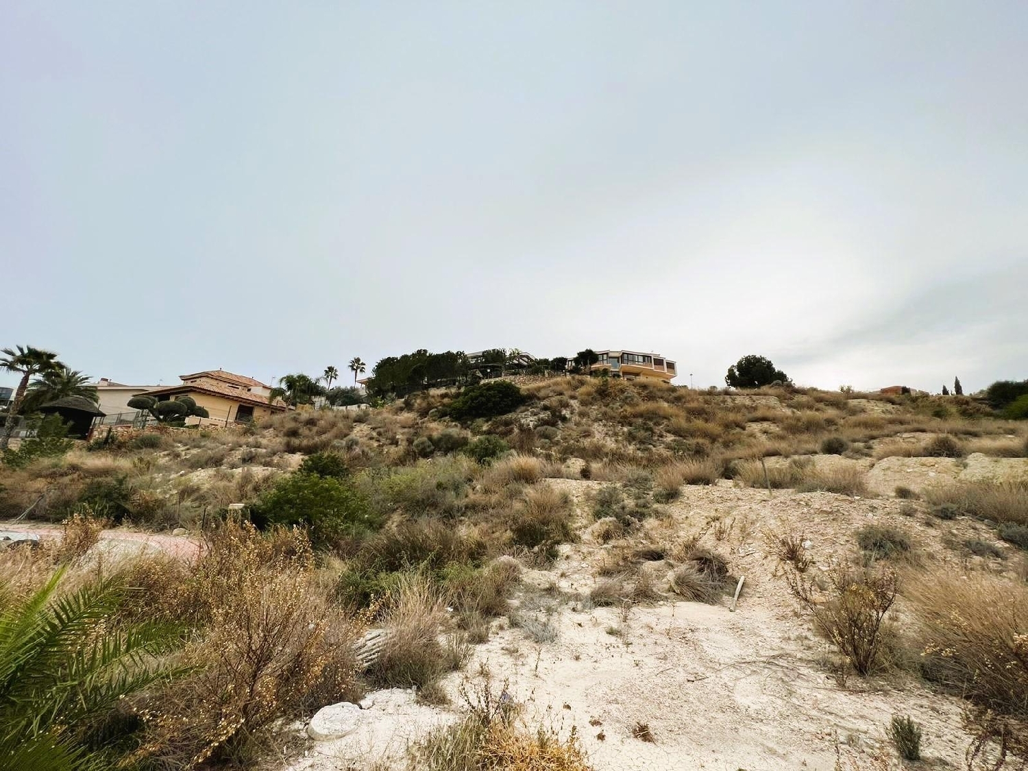  en venta terreno Molina De Segura Vega Media Del Segura 2