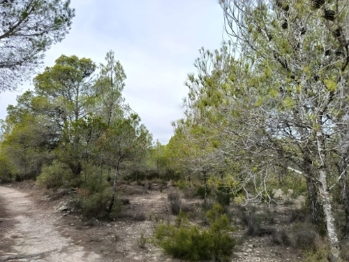 Monóvar Vinalopó Mitjà tomt foto