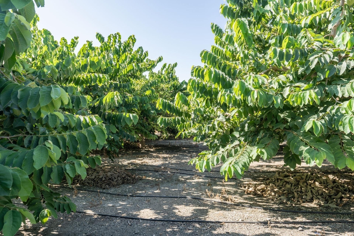 for sale plot Motril Costa Tropical 3