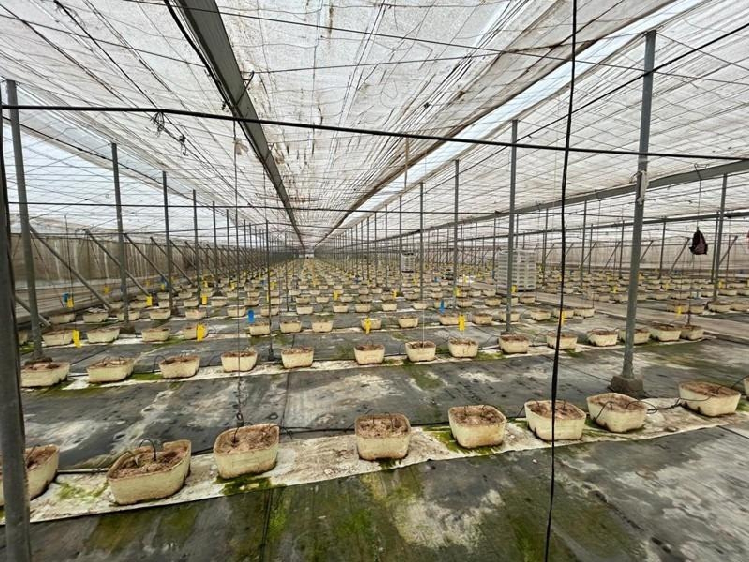 te koop perceel Motril Costa Tropical 1