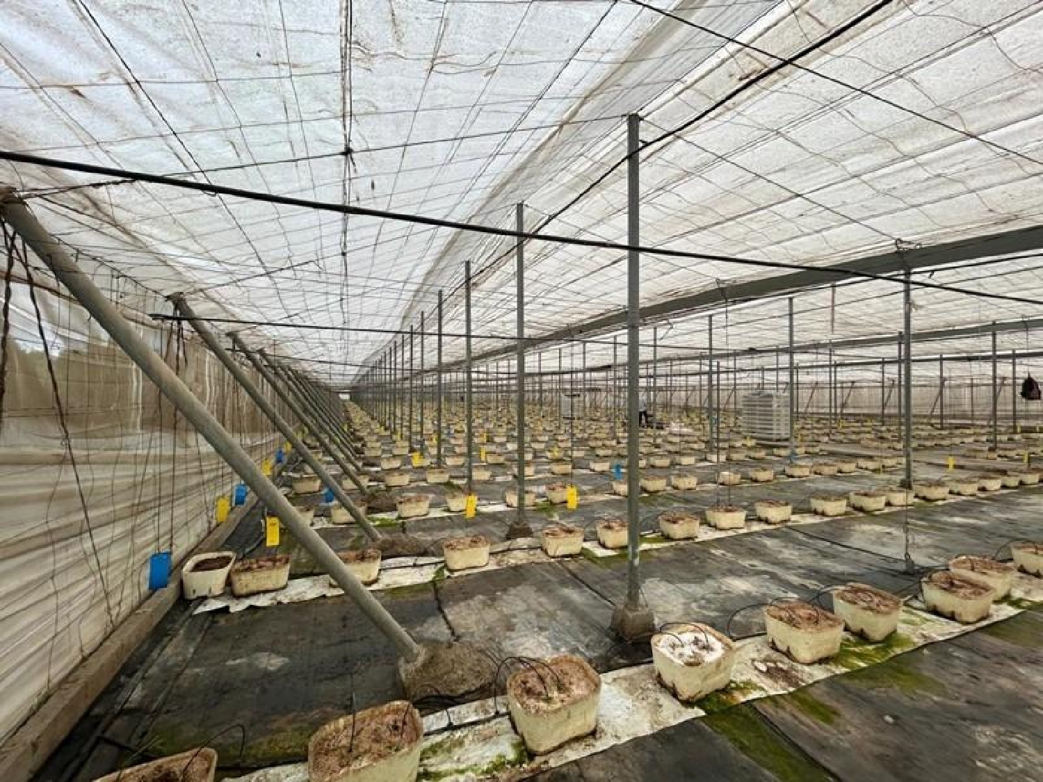 te koop perceel Motril Costa Tropical 3