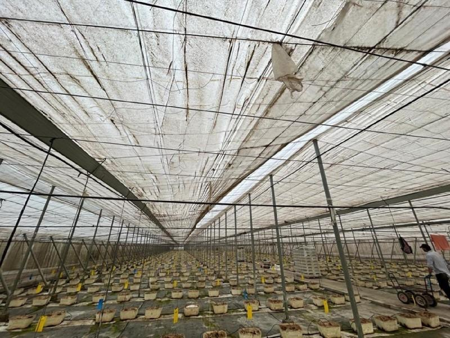 te koop perceel Motril Costa Tropical 2