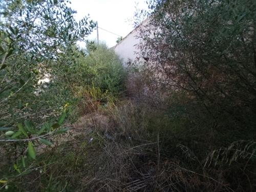 Muro Nord plot foto 6316988