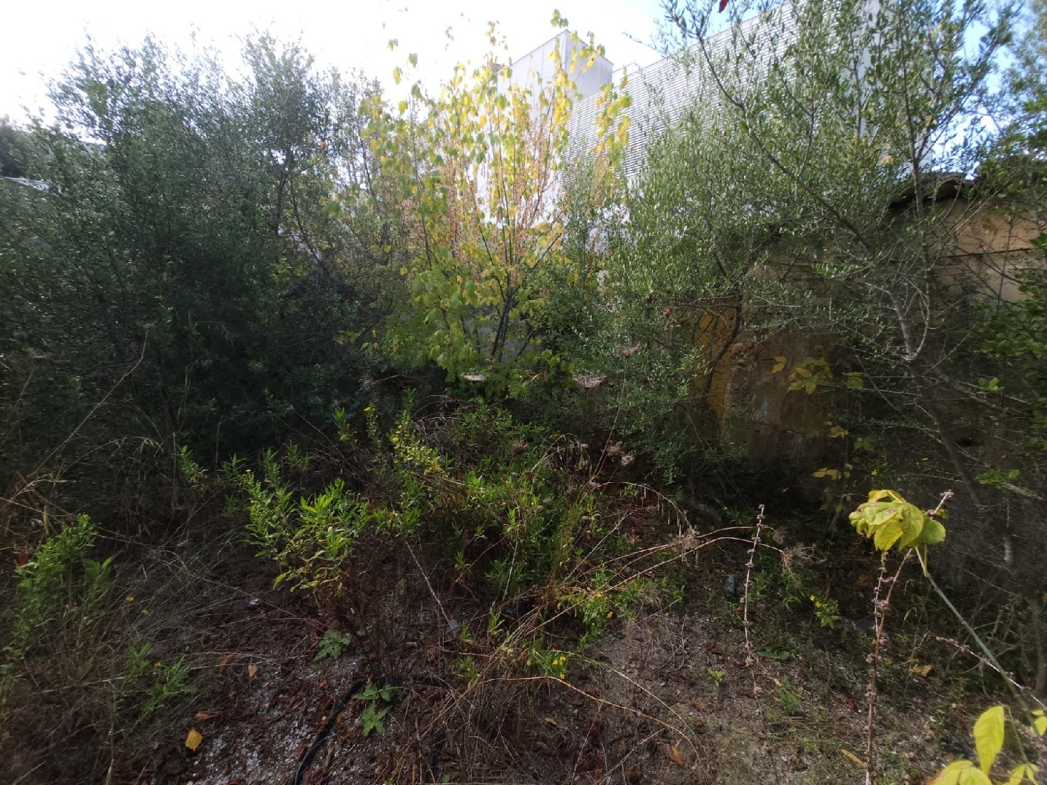  till salu tomt Muro Nord 5
