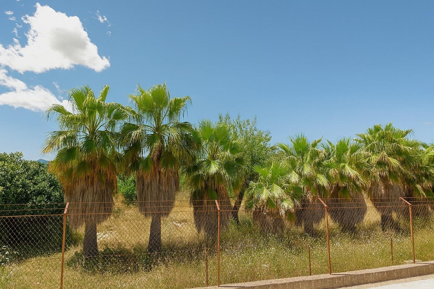  en venta terreno Muro Nord 6