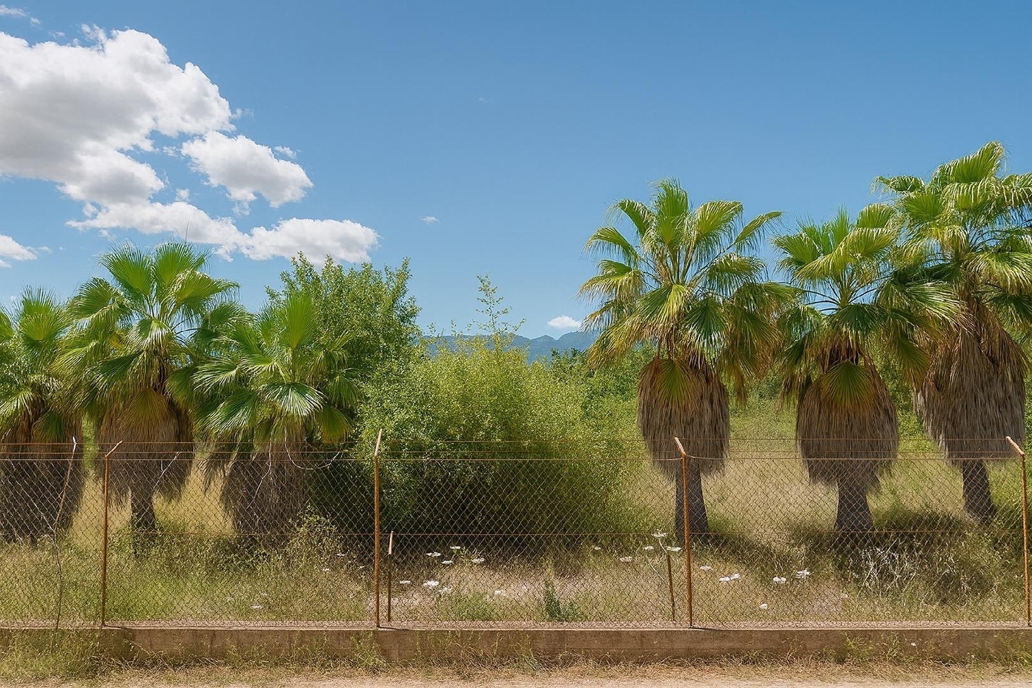  en venta terreno Muro Nord 4