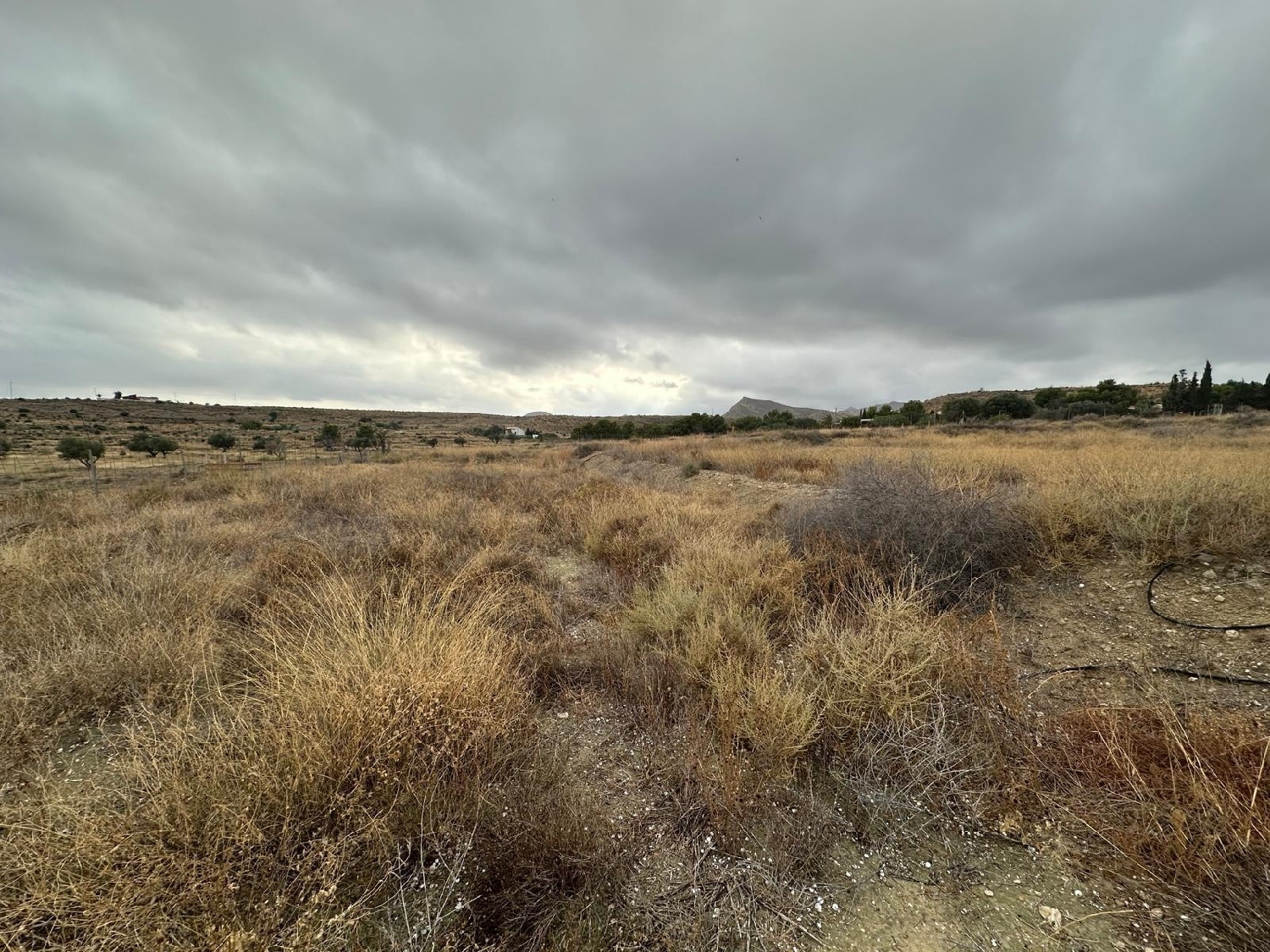  en venta terreno Mutxamel Alacantí 3