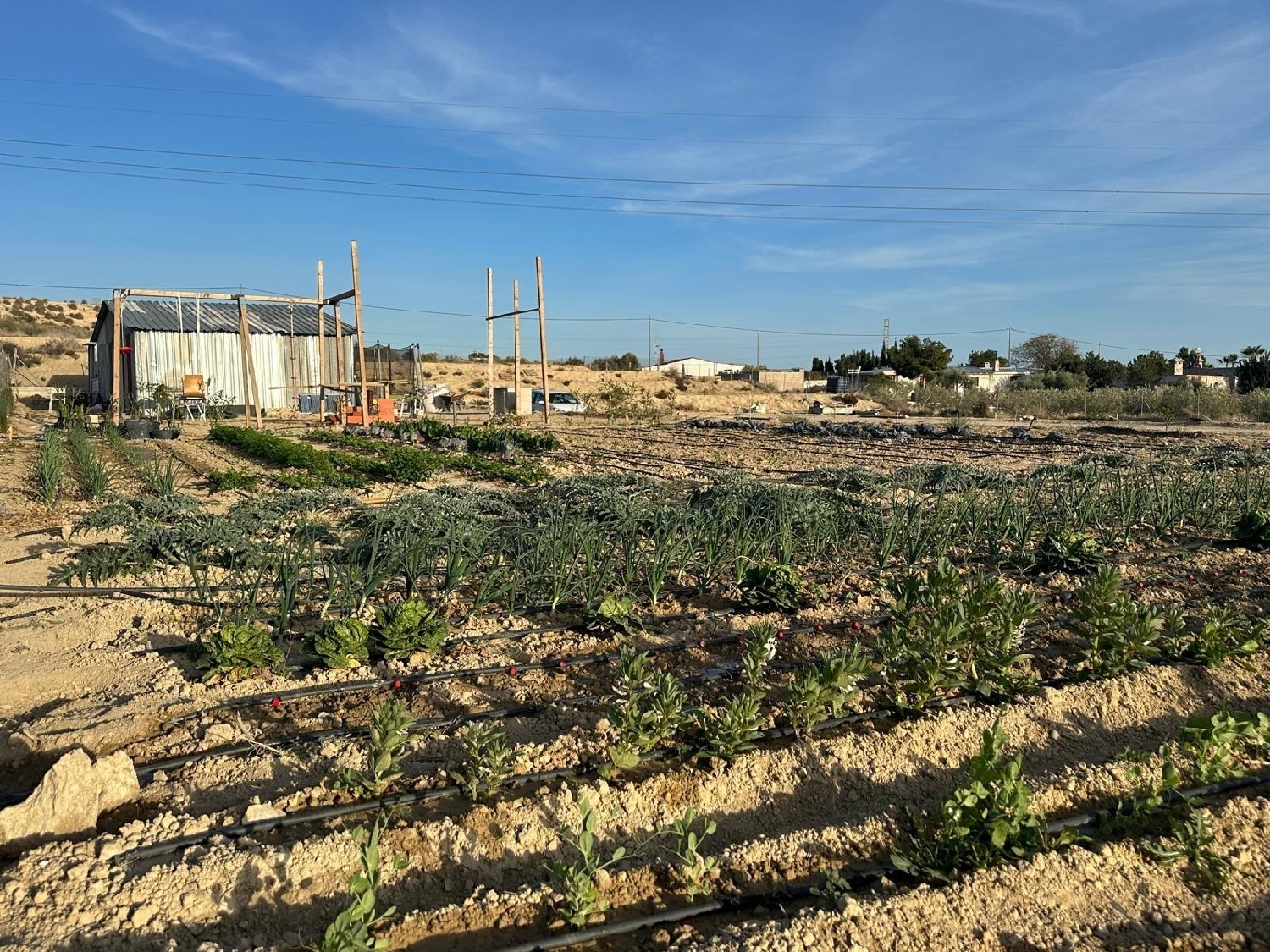  en venta terreno Mutxamel Alacantí 6