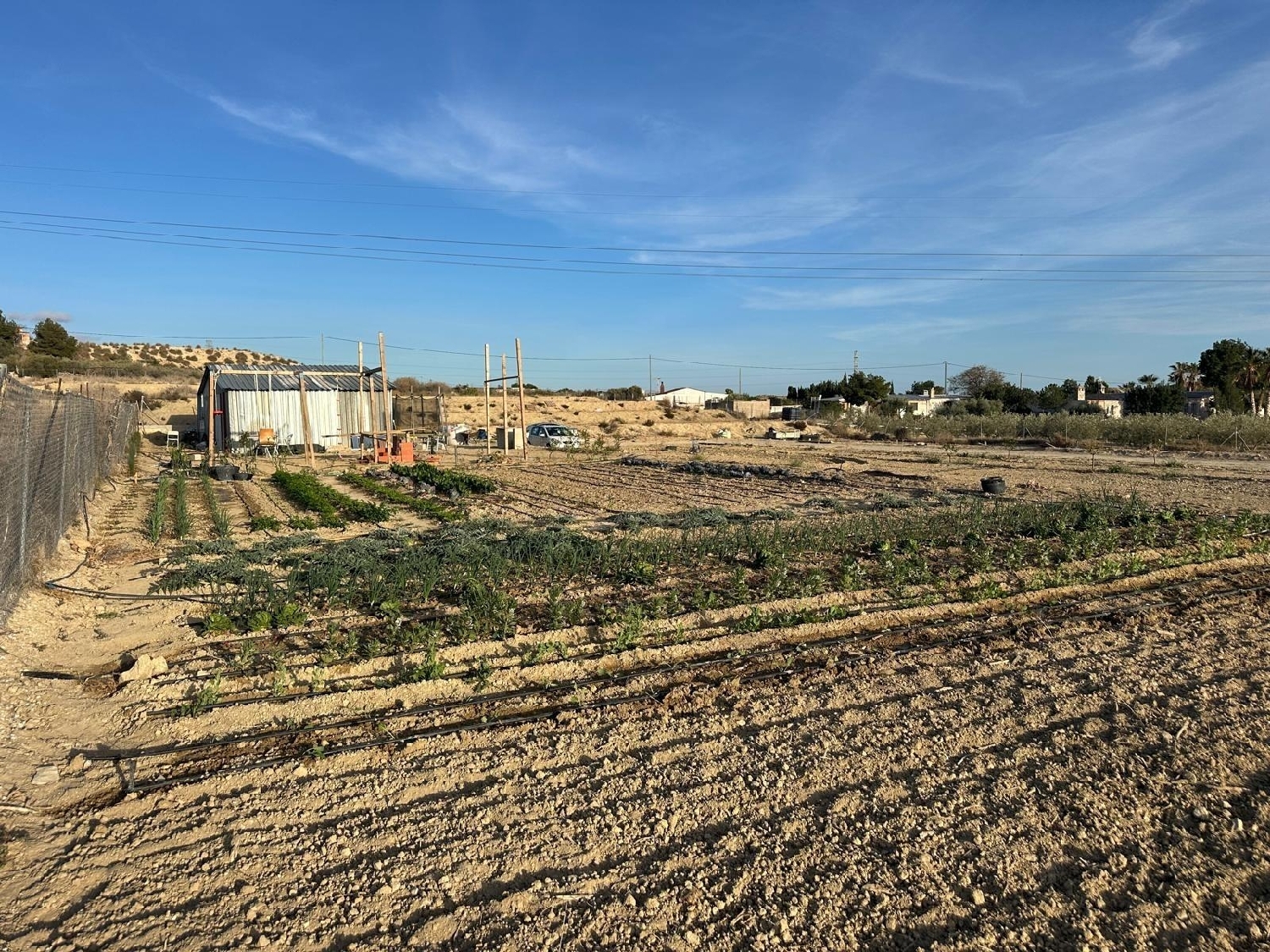  en venta terreno Mutxamel Alacantí 3