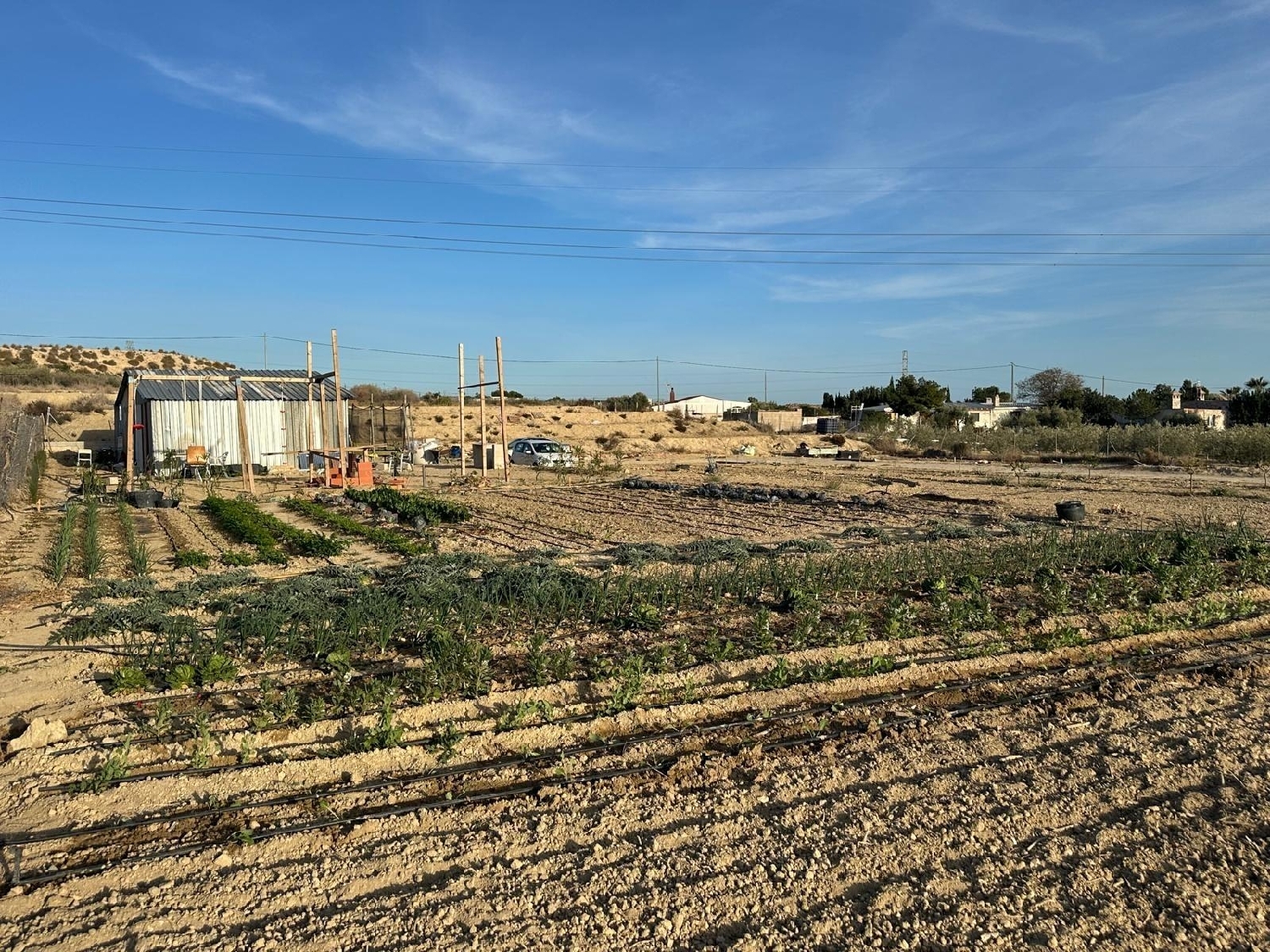  en venta terreno Mutxamel Alacantí 4