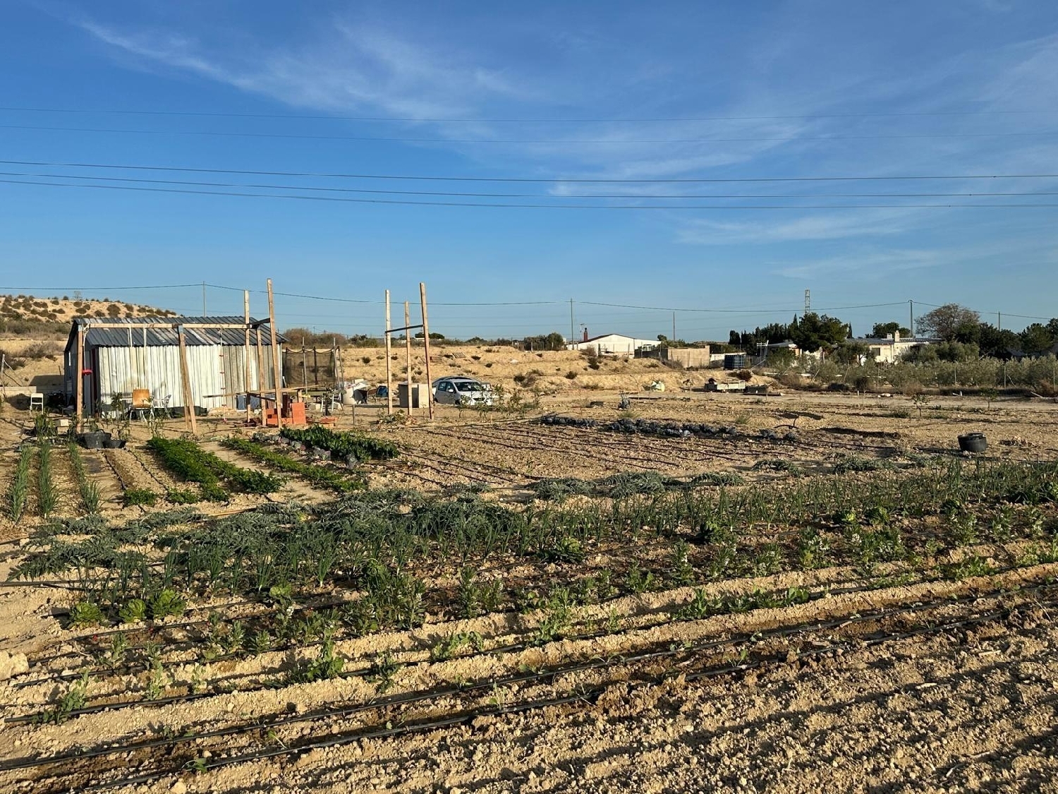  en venta terreno Mutxamel Alacantí 5