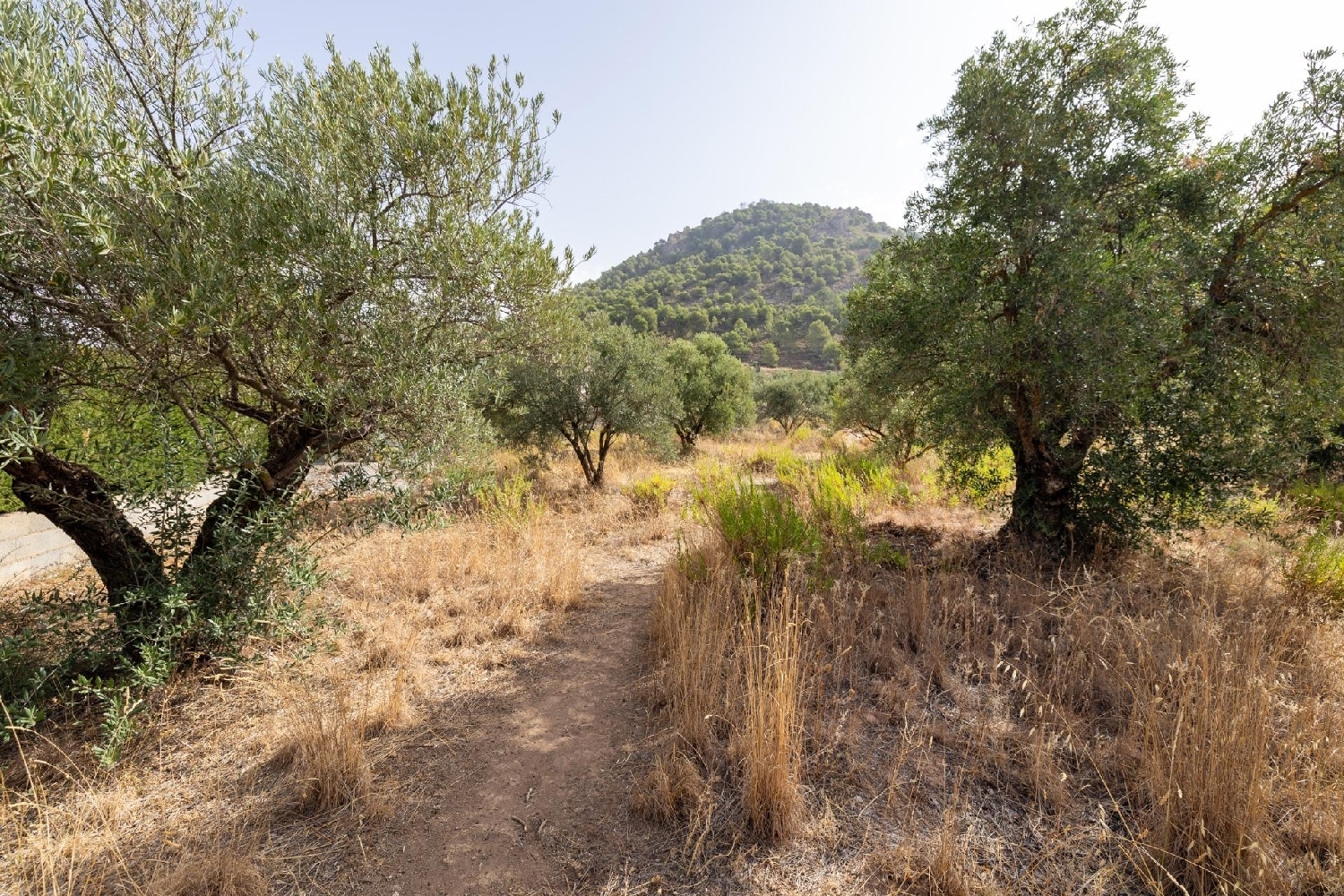 for sale plot Nívar Vega De Granada 6