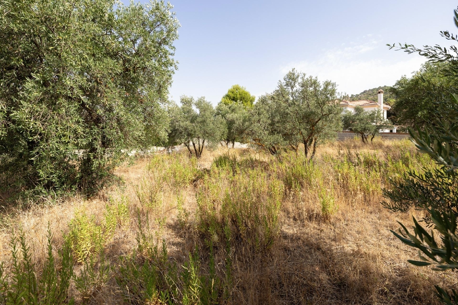 for sale plot Nívar Vega De Granada 8