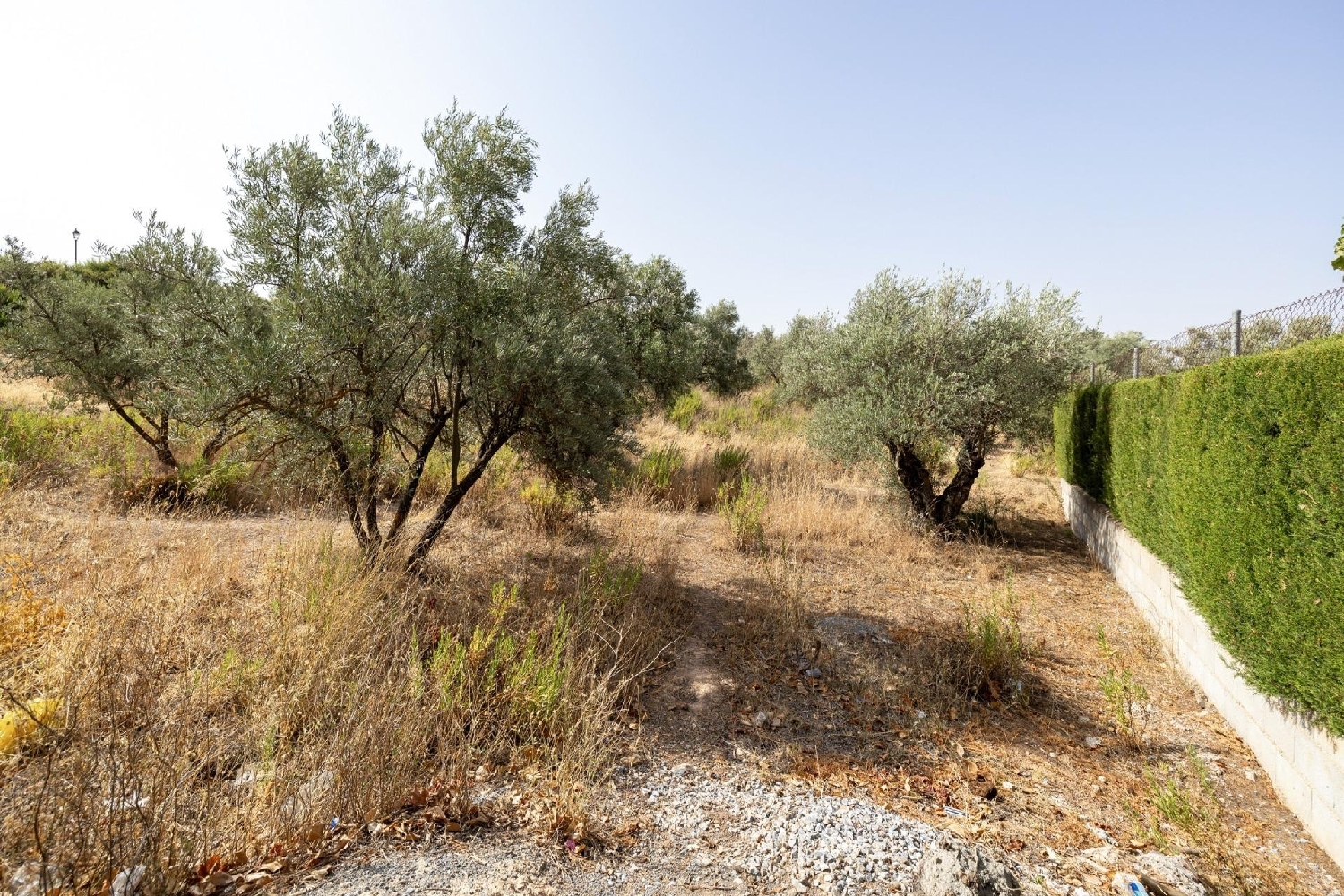 for sale plot Nívar Vega De Granada 5