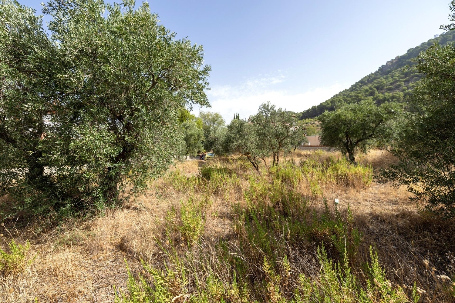 for sale plot Nívar Vega De Granada 7