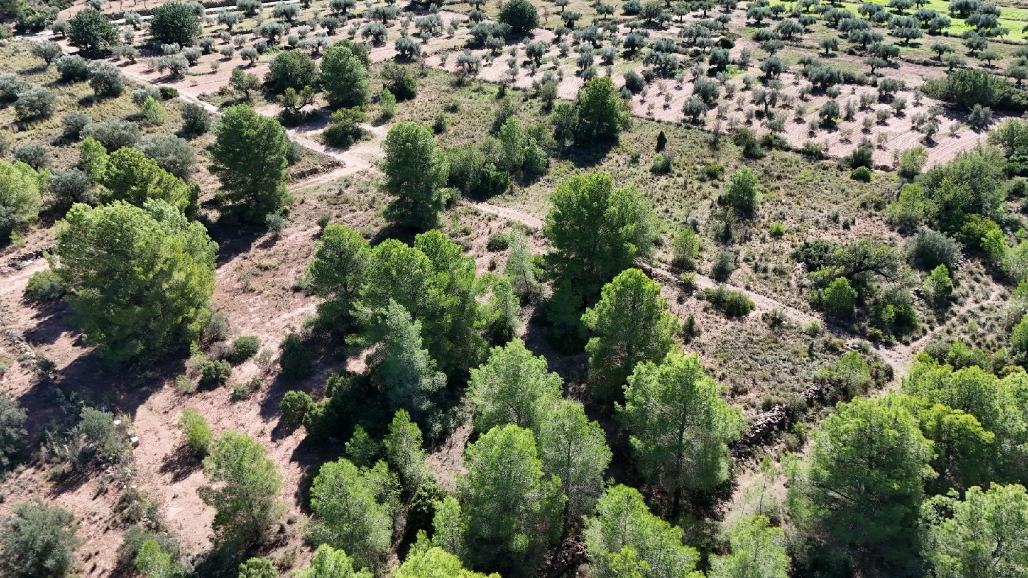  for sale plot Olocau Camp De Túria 2