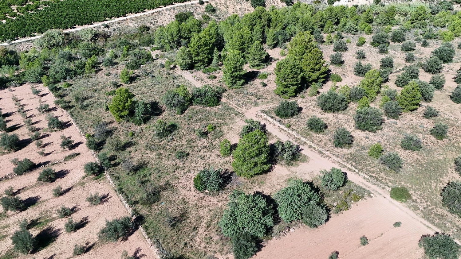  for sale plot Olocau Camp De Túria 3