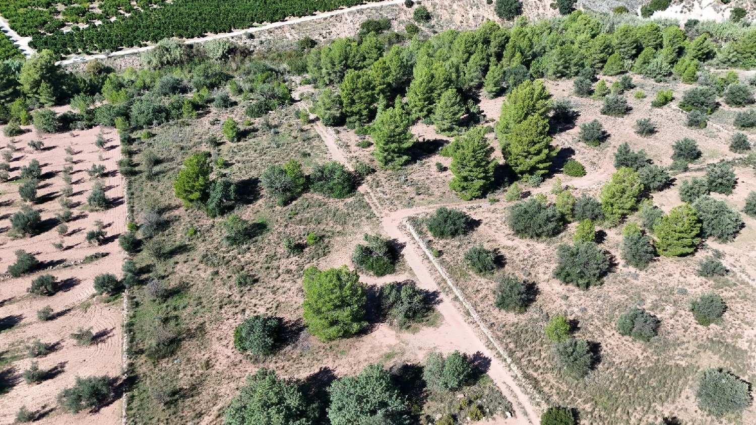  for sale plot Olocau Camp De Túria 4