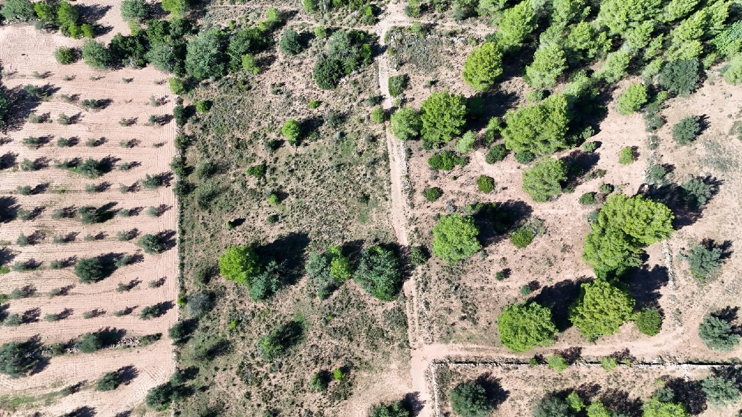  for sale plot Olocau Camp De Túria 5