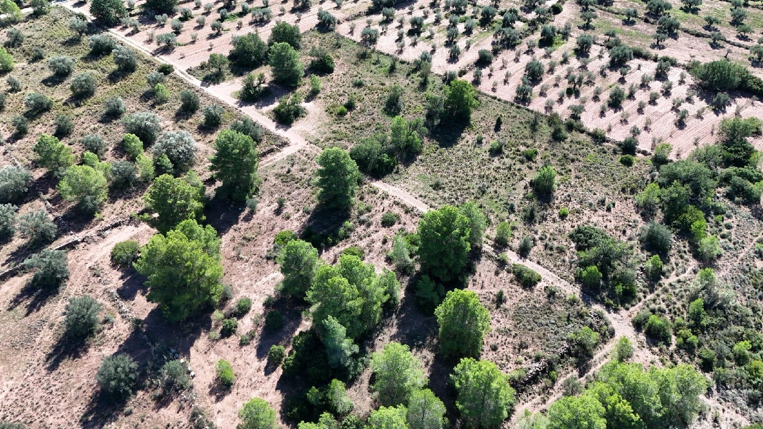  for sale plot Olocau Camp De Túria 1