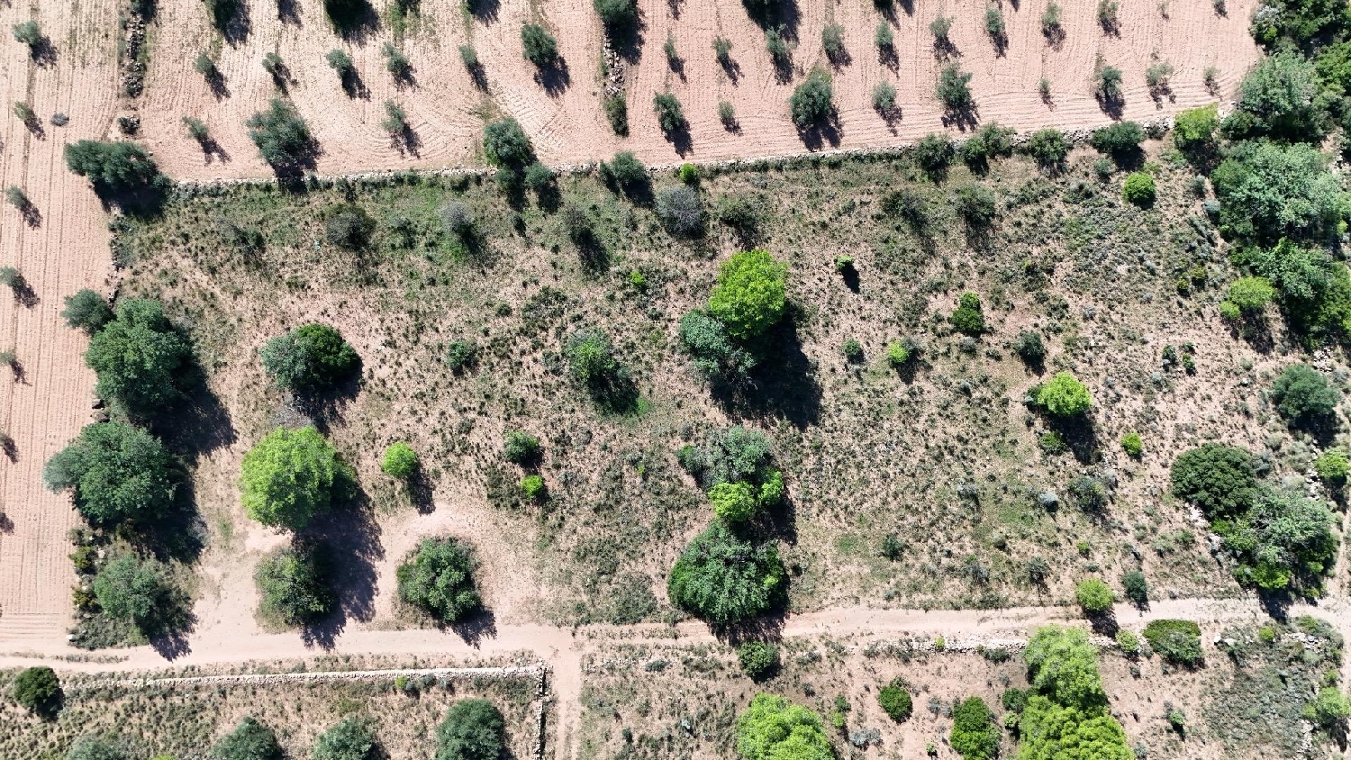  for sale plot Olocau Camp De Túria 7