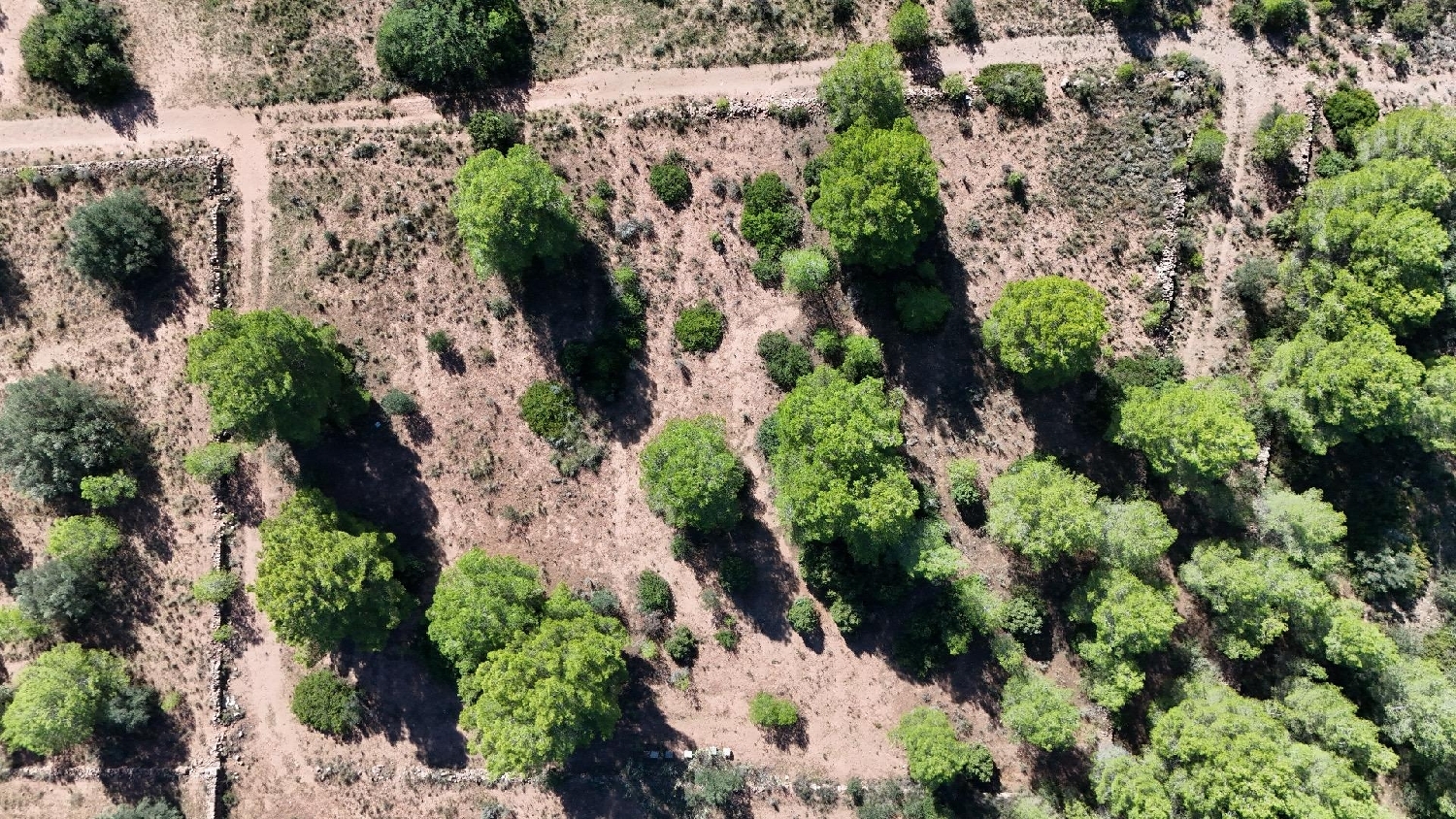  for sale plot Olocau Camp De Túria 8