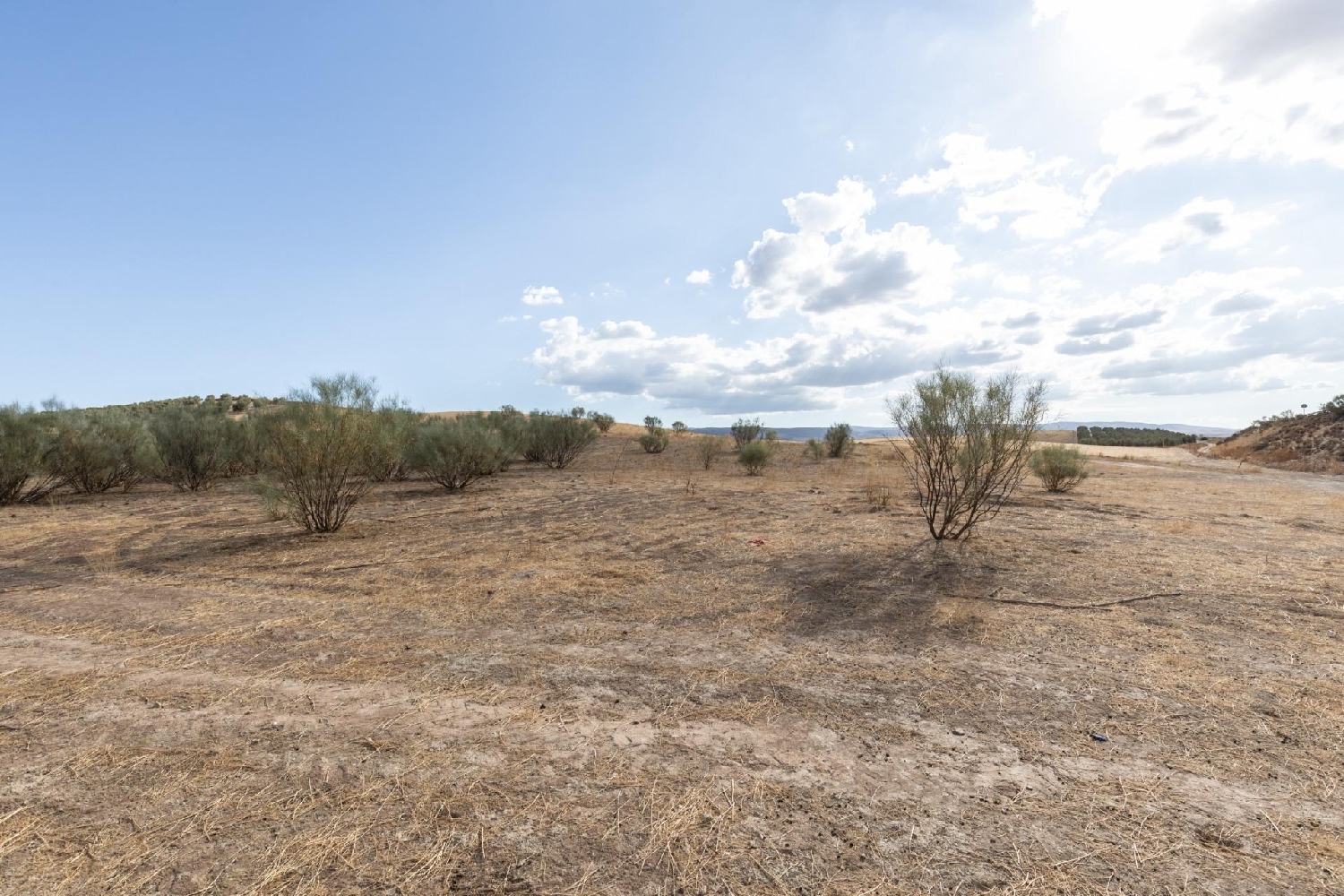  kaufen Grundstück Otura Vega De Granada 7