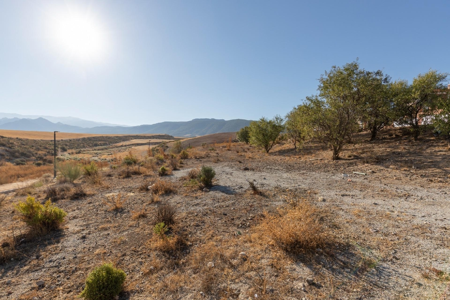  en venta terreno Otura Vega De Granada 8