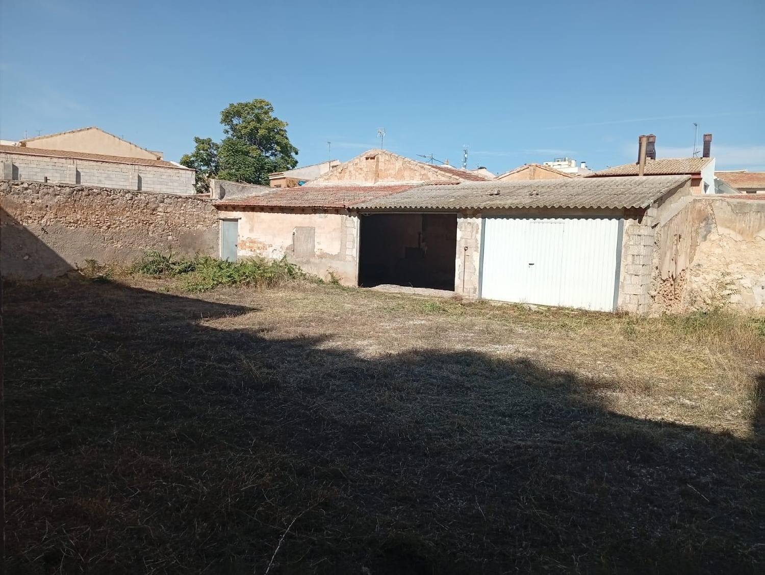 en venta terreno Pinoso Vinalopó Mitjà 4