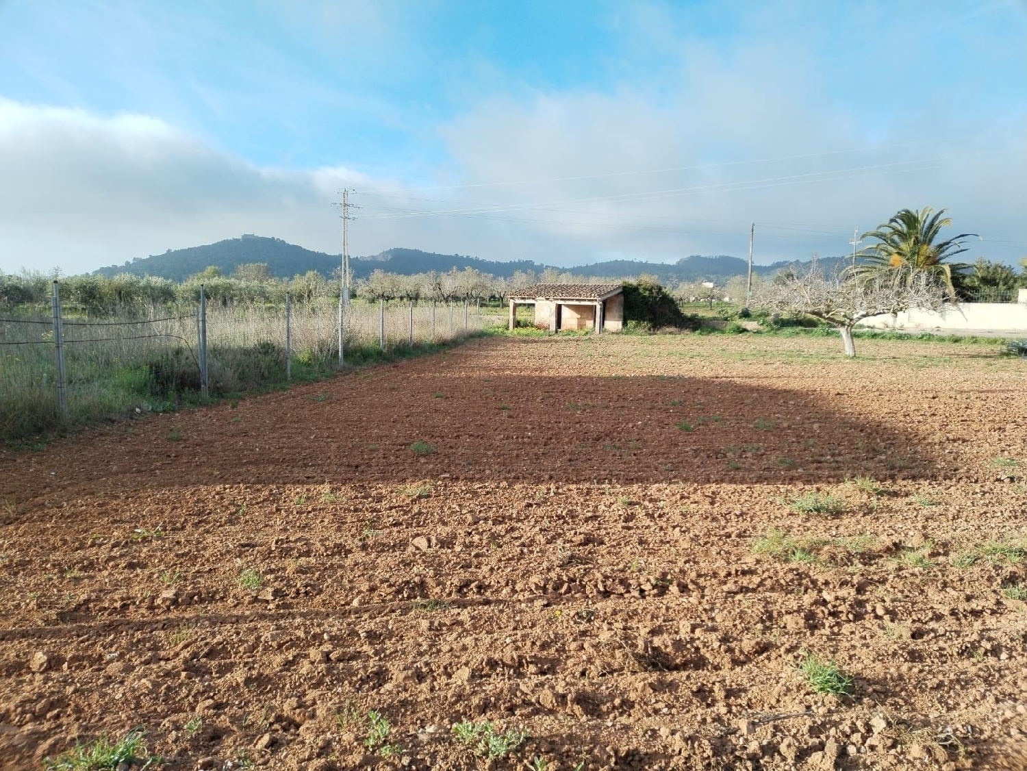  à vendre terrain Porreres Pla (Es) 4