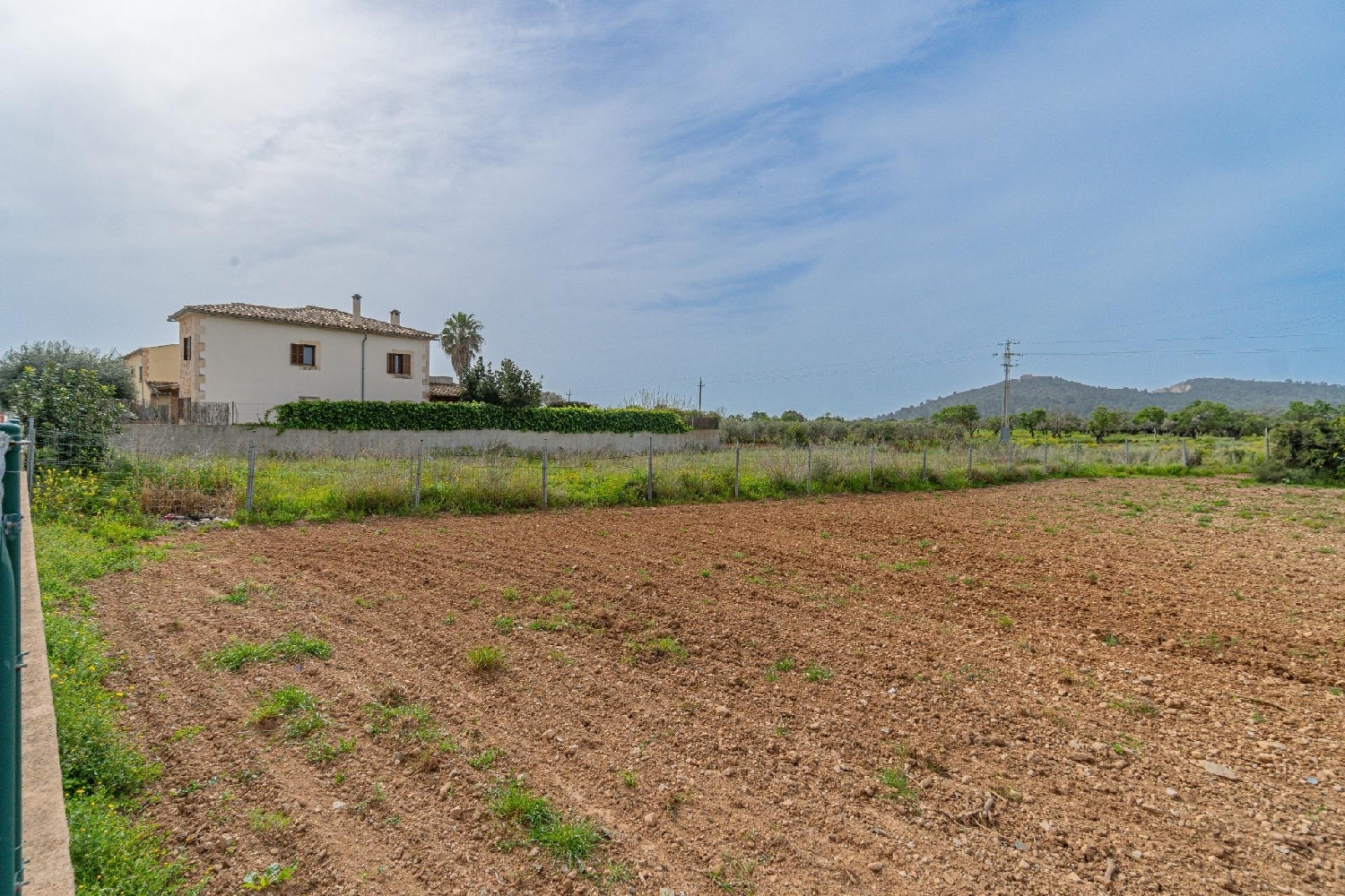  à vendre terrain Porreres Pla (Es) 6