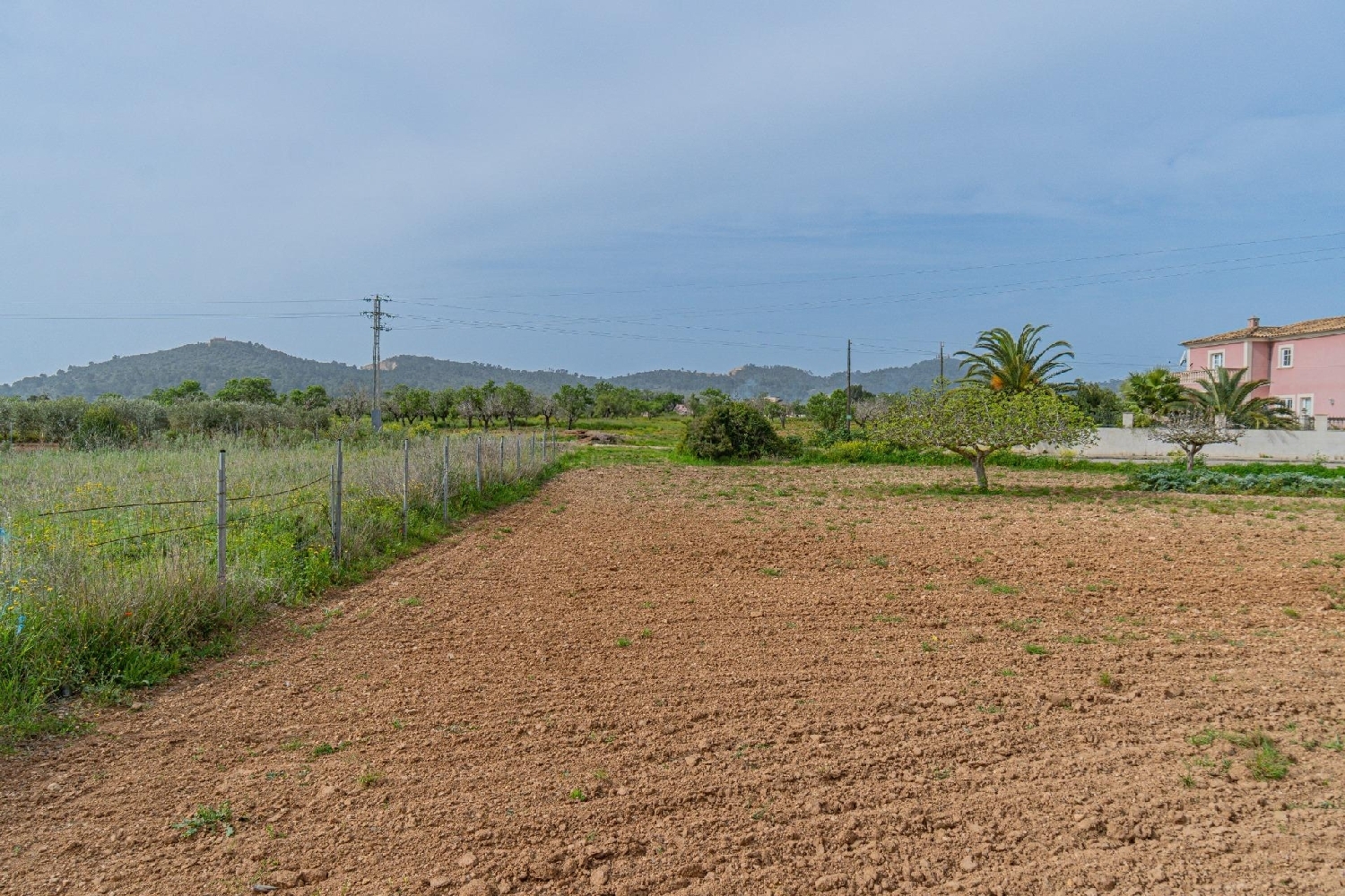  à vendre terrain Porreres Pla (Es) 1