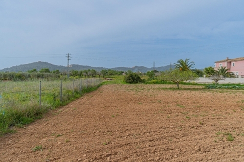 Porreres Pla (Es) terrain foto 6309888