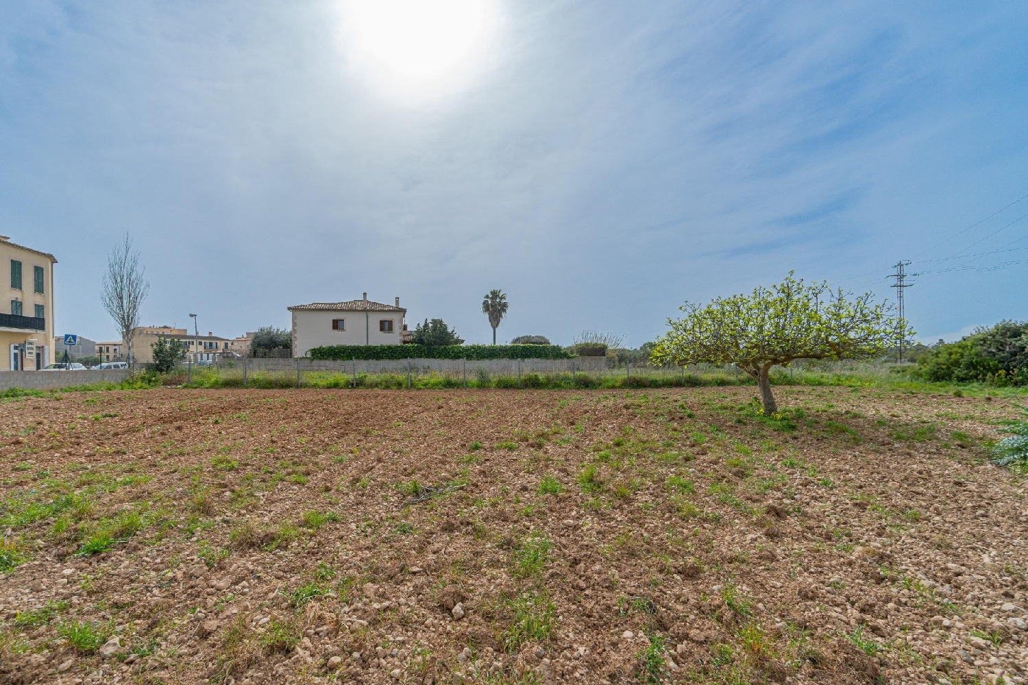  à vendre terrain Porreres Pla (Es) 7