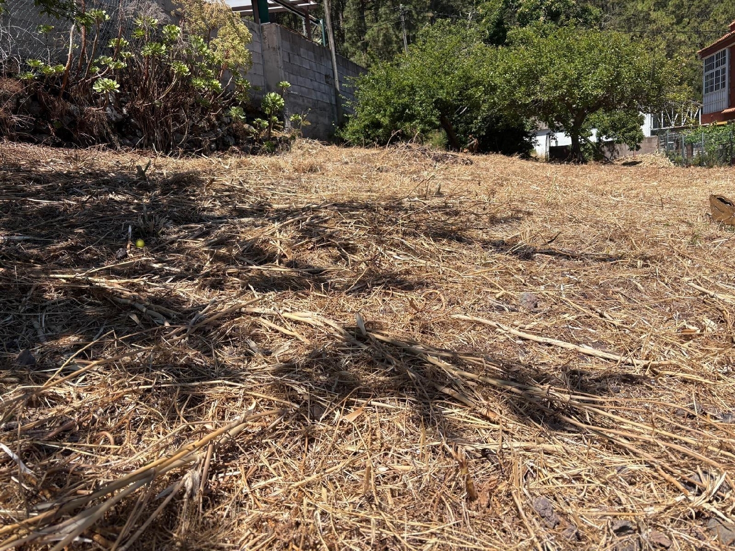 kaufen Grundstück Rosario Ortegal 6