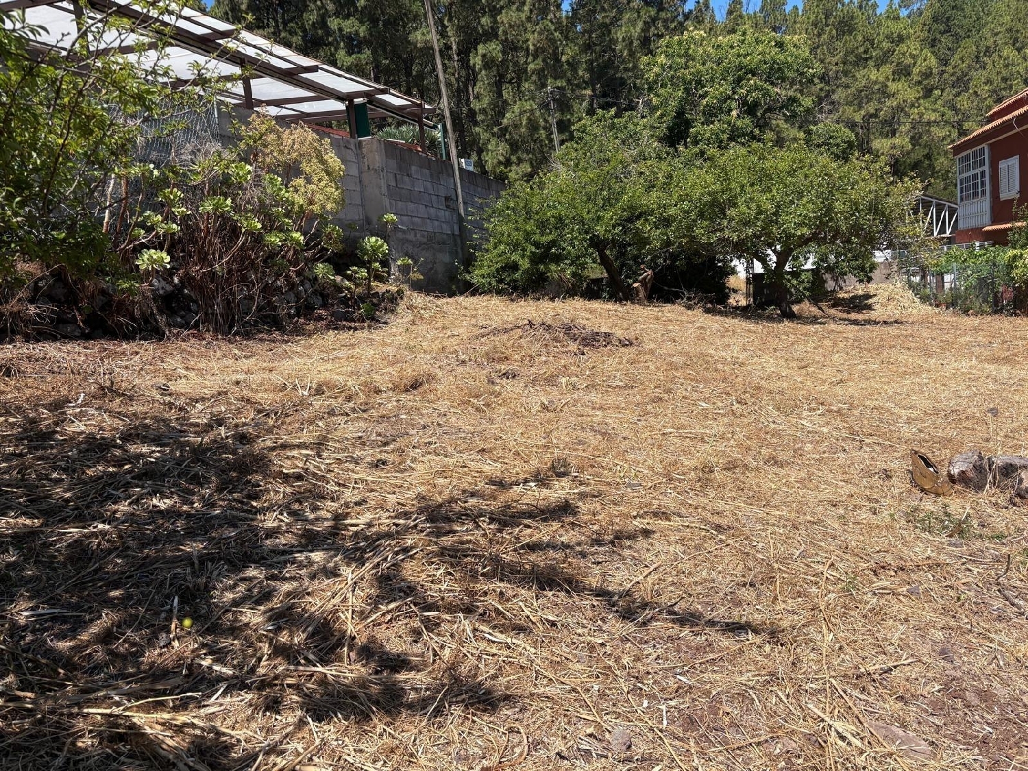 kaufen Grundstück Rosario Ortegal 7