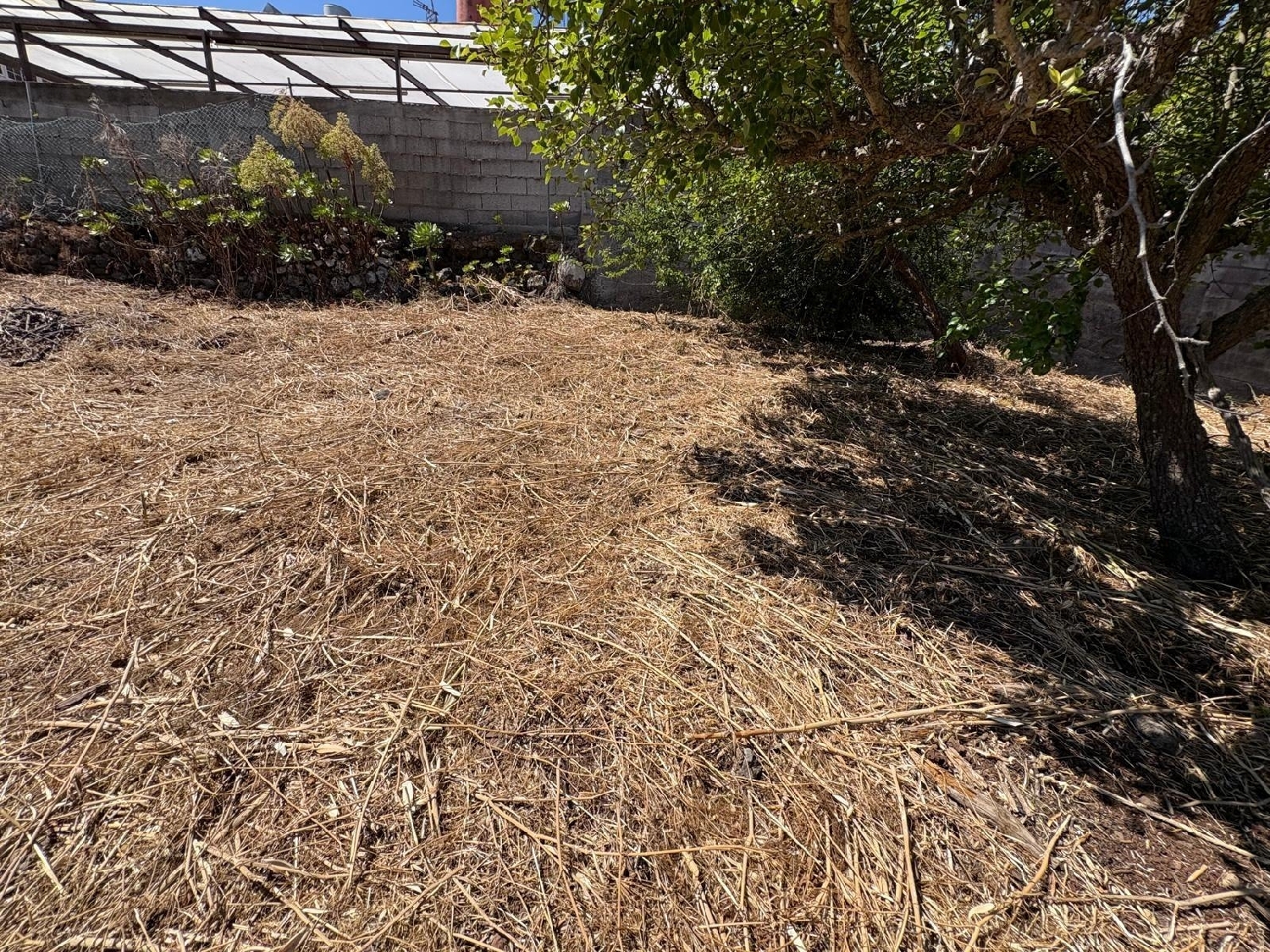 kaufen Grundstück Rosario Ortegal 1