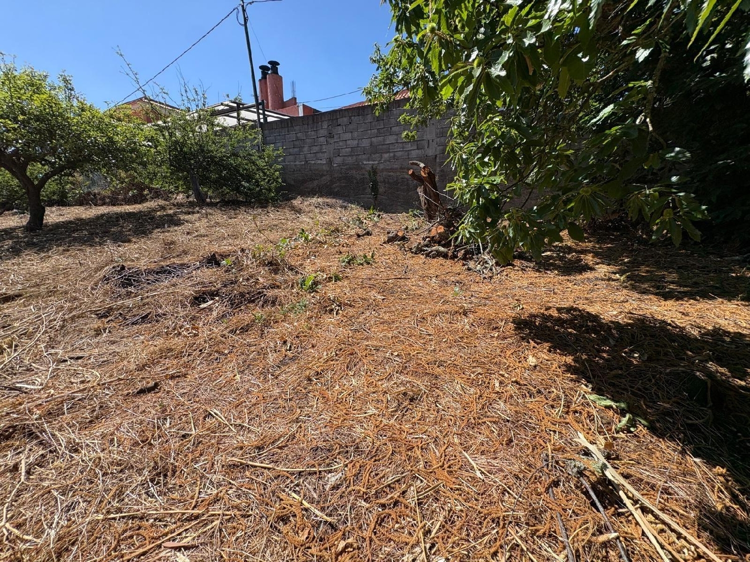 kaufen Grundstück Rosario Ortegal 2