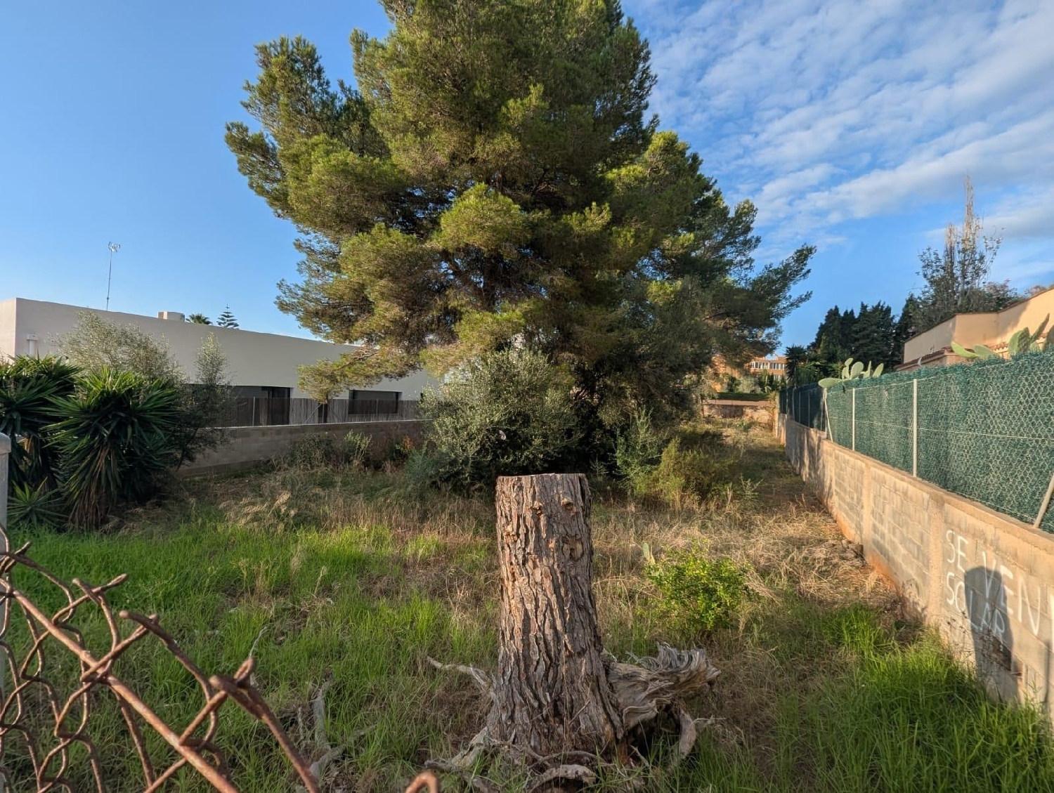 for sale plot Sa Coma Llevant 8