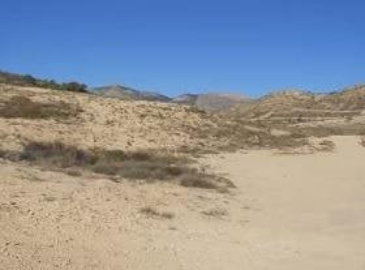 kaufen Grundstück San Vicente Del Raspeig Alacantí 5