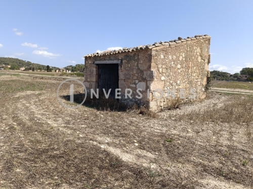 Sant Joan Pla (Es) plot foto 6314214