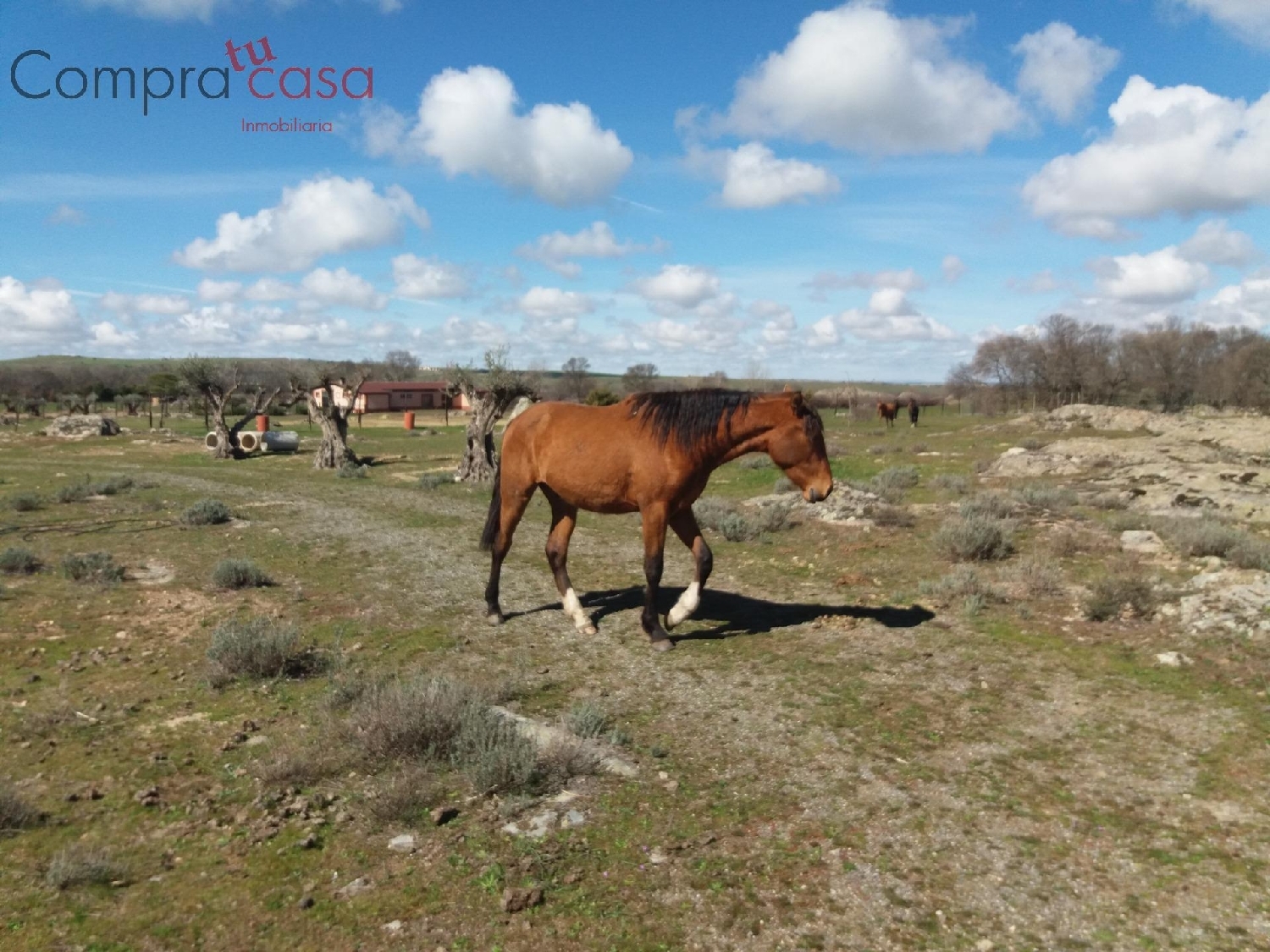 till salu tomt Santo Domingo De Pirón Segovia Sur 8