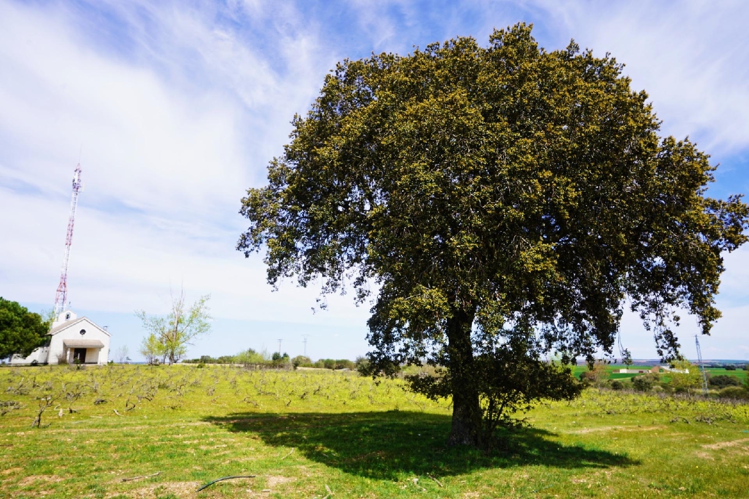  for sale plot Topas Armuña (La) 6