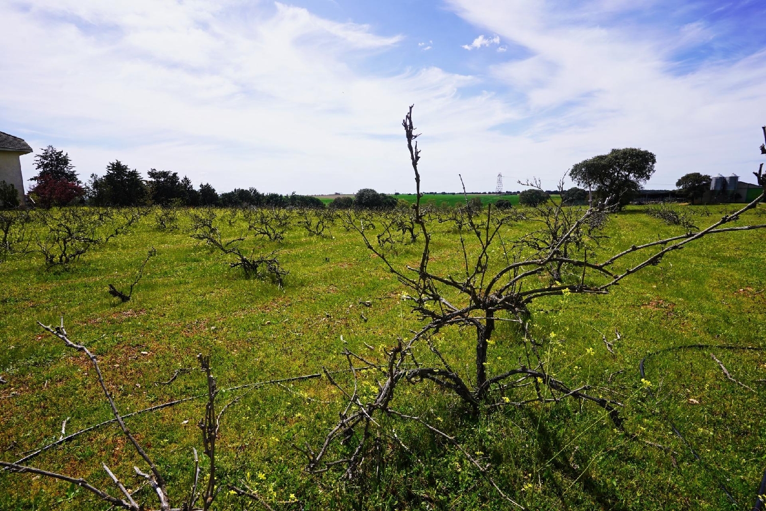  for sale plot Topas Armuña (La) 5