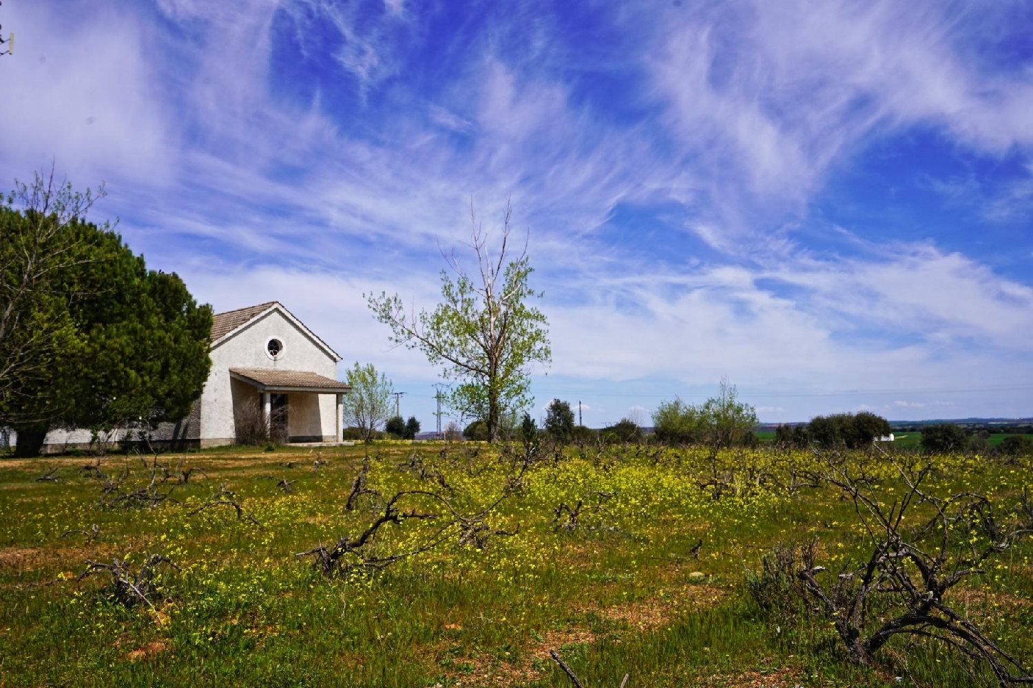  for sale plot Topas Armuña (La) 7