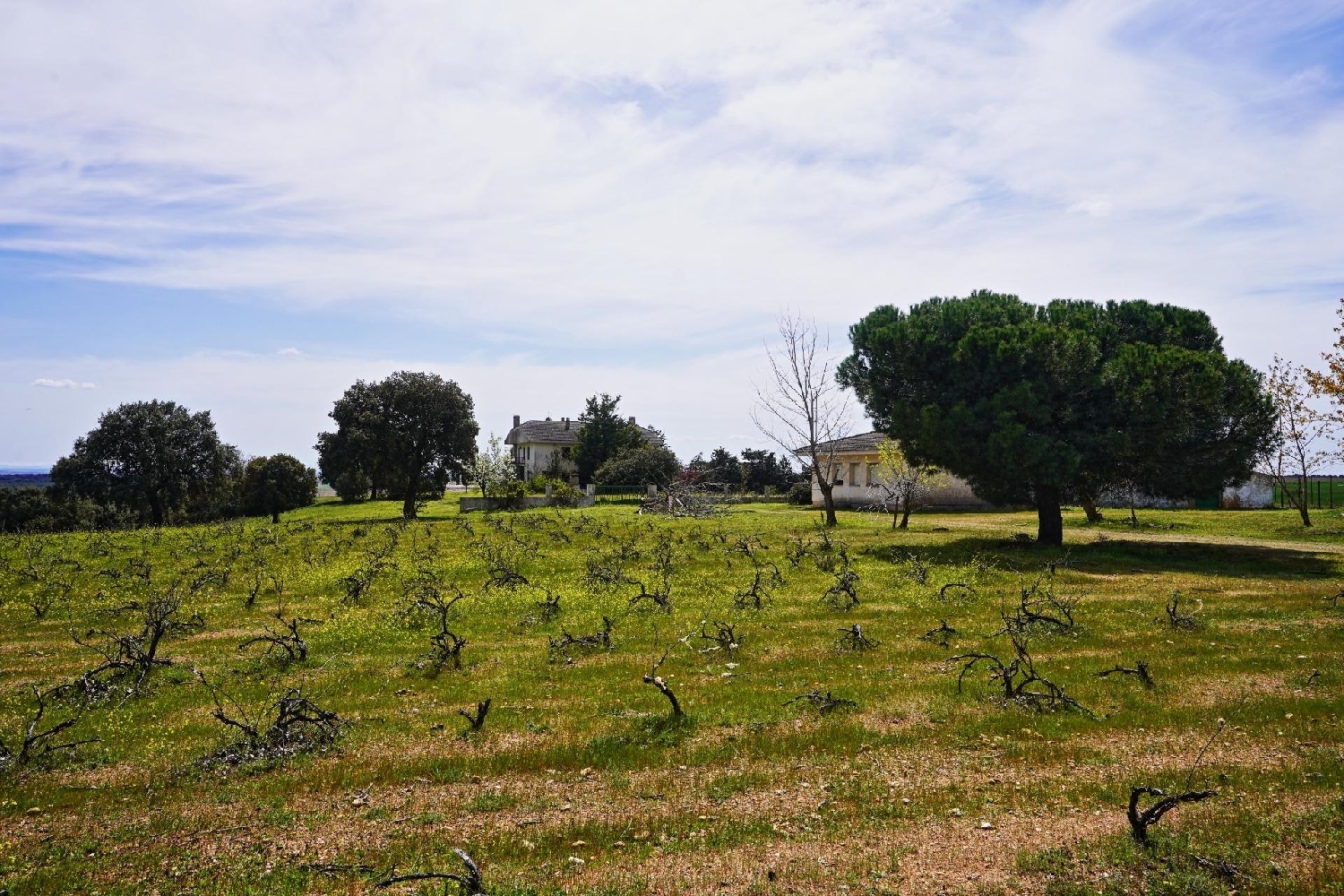  for sale plot Topas Armuña (La) 1