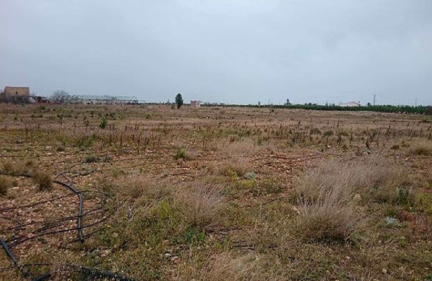  te koop perceel Torreblanca Plana Alta 5
