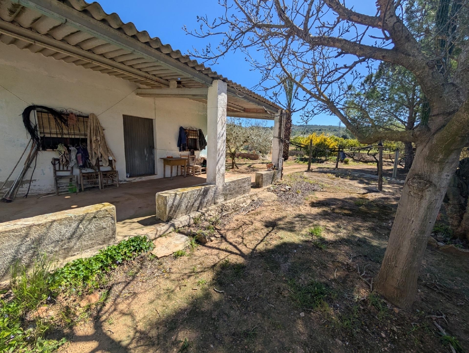  te koop perceel Ulldecona Montsià 4