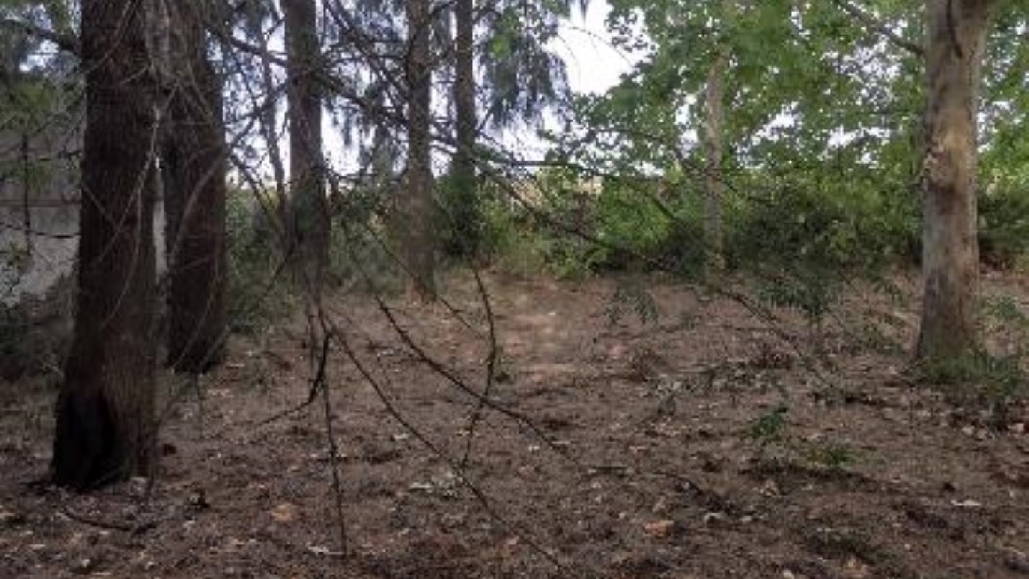  à vendre terrain Umbrete Aljarafe 5